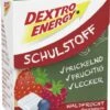 Dextro Energy Schulstoff Waldfrucht -Seeberger Verkäufe 2024 4502032329 42214663 01